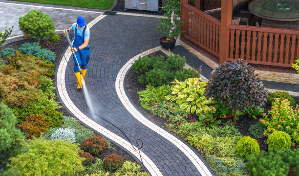 Best Pressure Washing Company Near Me  in Preston Heights, IL